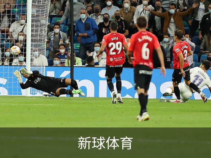 关于新球体育
